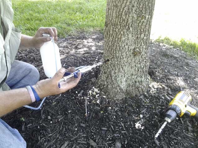 83207fdb-bb31-41dc-b010-d2f97ea37263