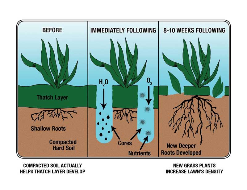 Benefits_of_Core_Aeration