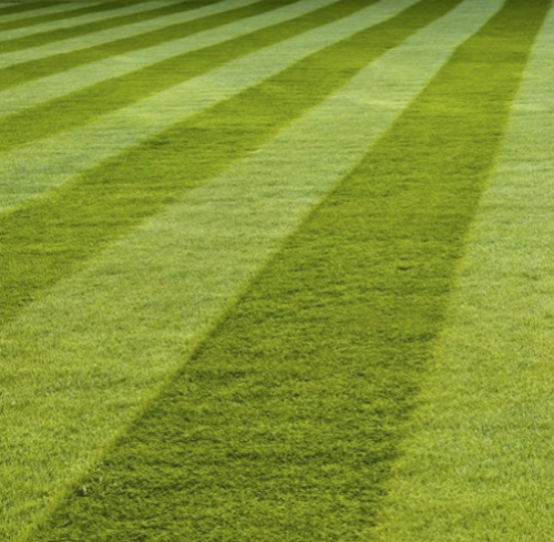 Grass Striping homeb